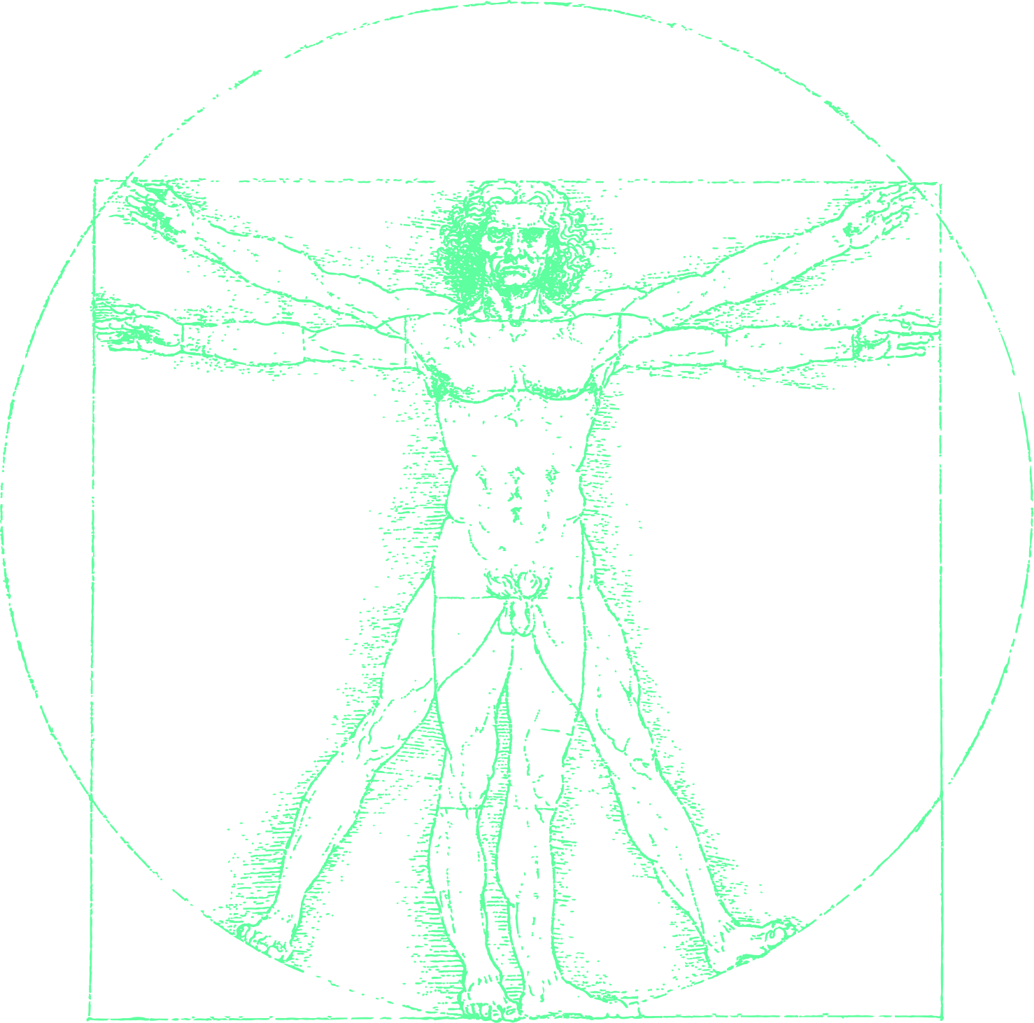 L'Homme de Vitruve — CBD agit sur tout votre corps